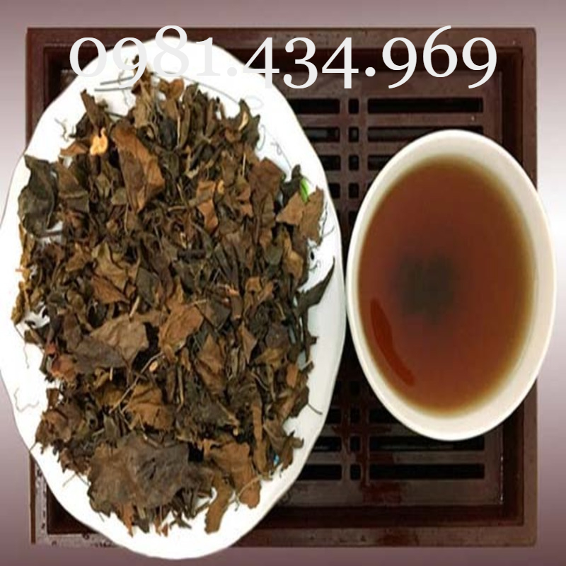 01Kg Cây Cộng Sản (Cỏ Lào) Khô Chất l Mới