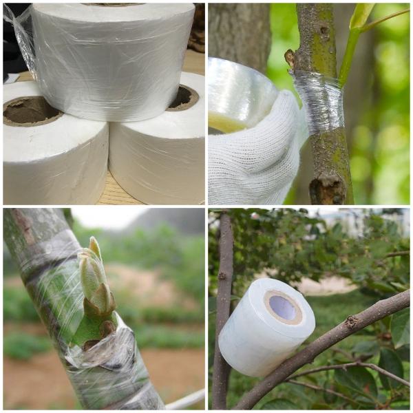 Băng Ghép Cành Tự Hủy