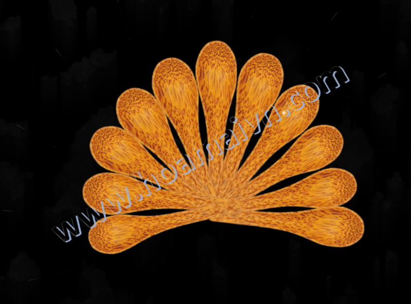 Muỗng gỗ các loại