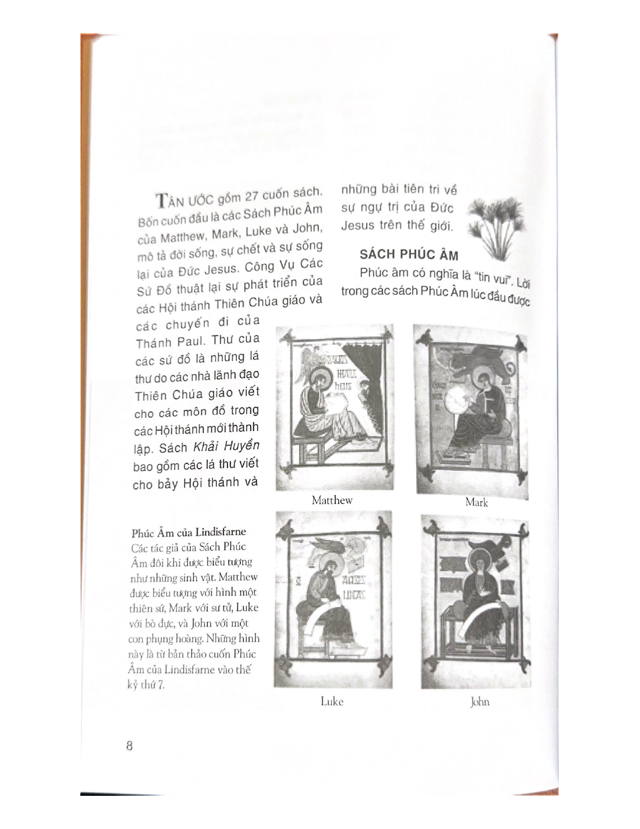 Sách - Câu Chuyện Kinh Thánh (Tái Bản 2024)-Vanlangbooks