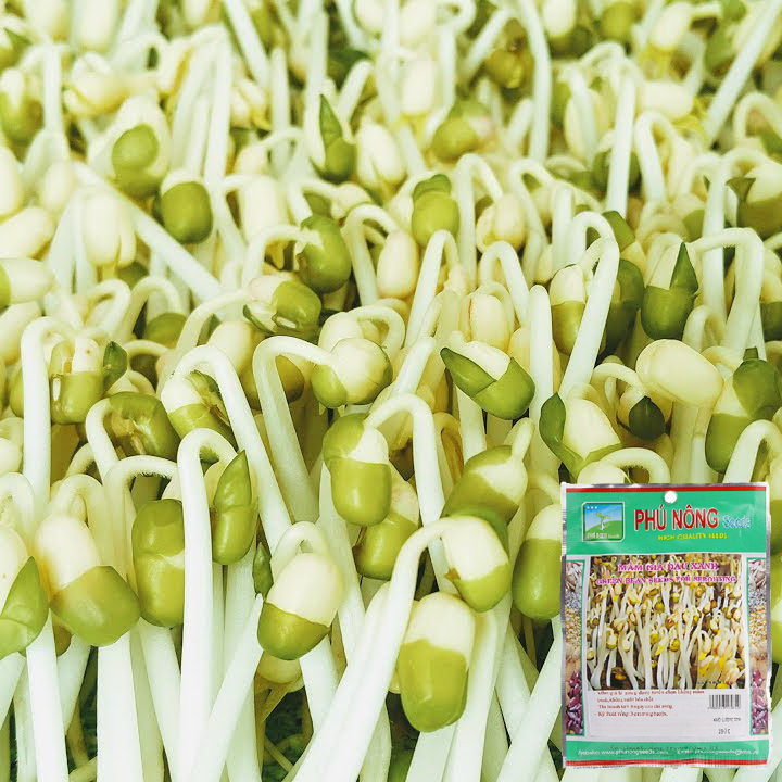Mầm Giá Đậu xanh / Đỗ Xanh - Nguyên hạt làm giá đỗ nảy mầm 100% Phú Nông Gói 100g - Mầm Giá Đỗ Xanh Hạt Giống Rau Củ quả - S-Garden
