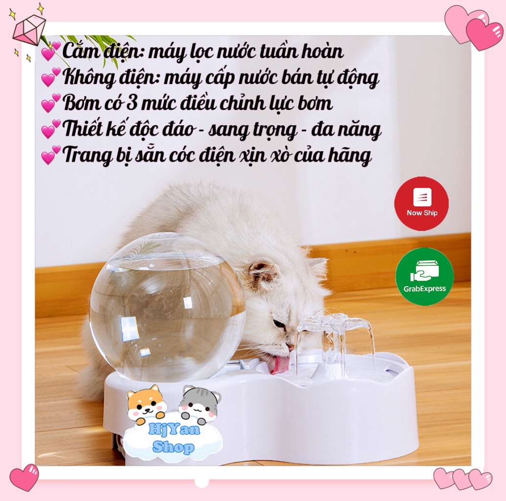 Máy uống nước lọc nước tư động và đa năng cho mèo chó thú cưng