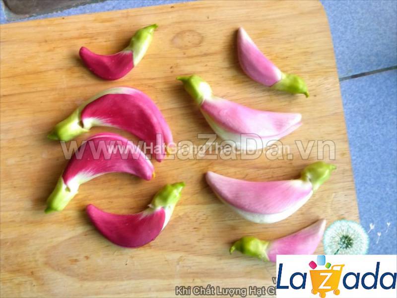 10h Hạt Giống Bông So Đũa Thái Đỏ (C5.301| C51*W35*M010)