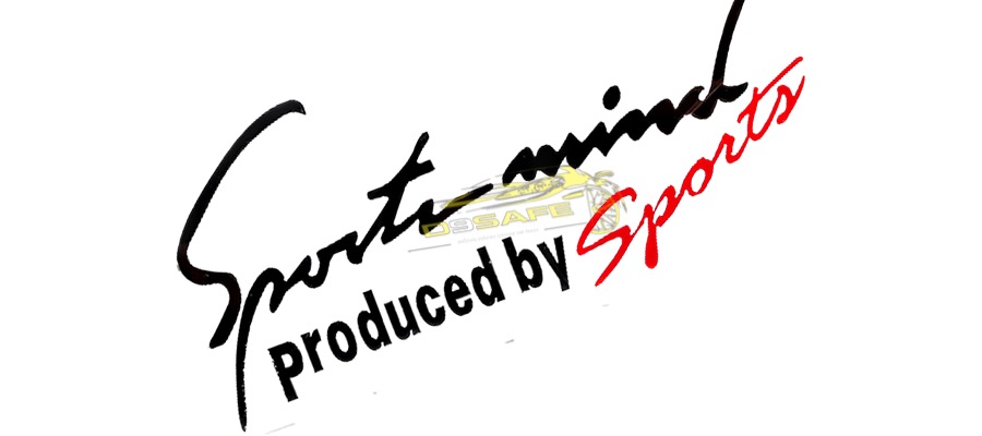 Tem Sport mind mặt capo ô tô ( màu đen )