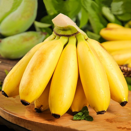 Cây chuối cau giống mẵn, giống lùn, mau trái- Hoa kiểng Nguyễn Lộc