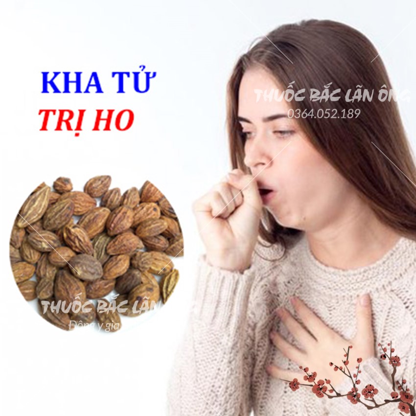 Dried Kha Tzi Fruit 200g, Kha Tzi Fruit, Chieu Lieu Fruit, Large, Dry, Clean Seeds, Relieves Sore Throat, Dry Voice - Lan Ong
