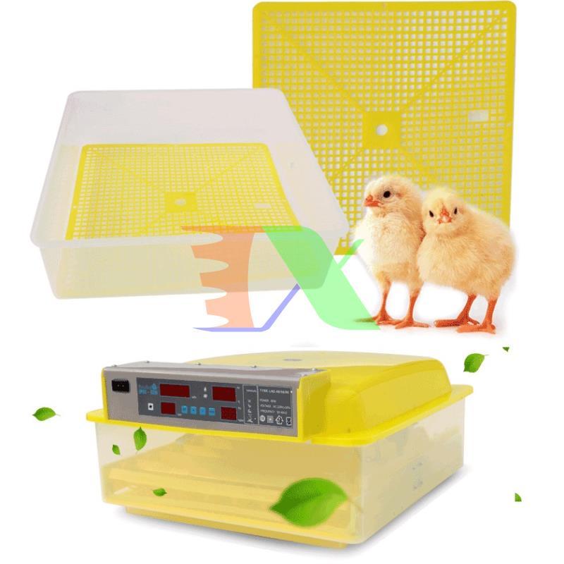 Incubator chicken eggs, duck eggs, Bird, Dove (56)