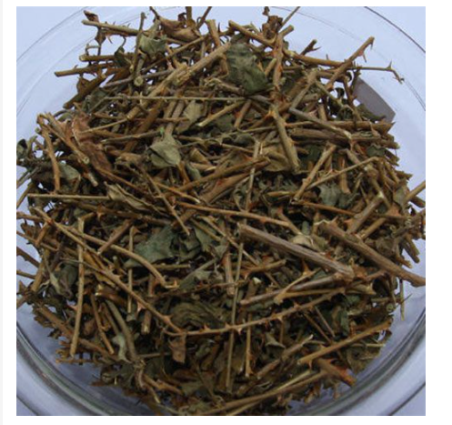 Cà gai leo khô 1kg GT020