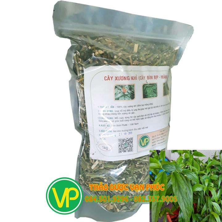 [KHUYẾN MÃI] Cây xương khỉ  - siêu sạch