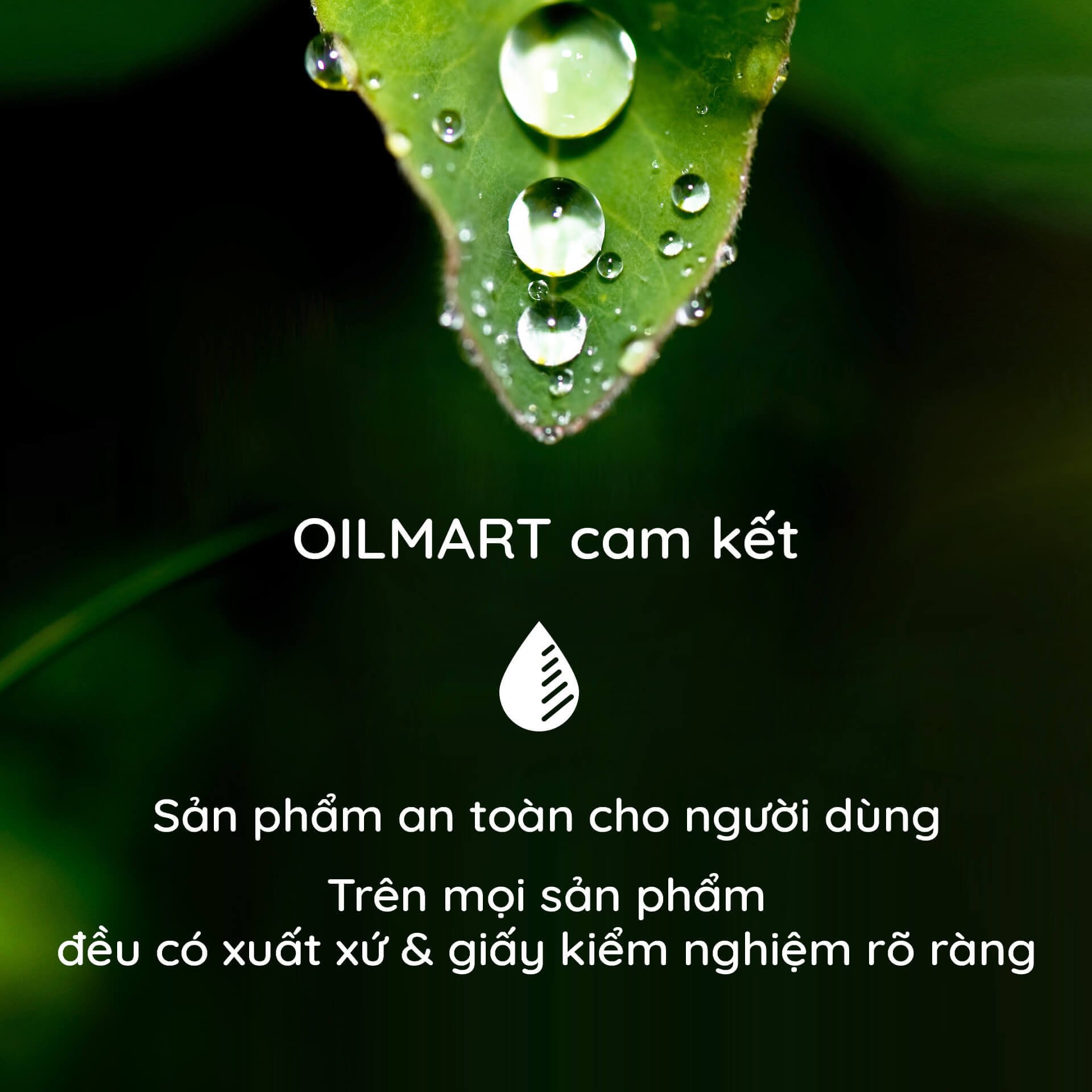 Tinh Dầu Cà Phê Nomad Coffee Essential Oil Blend