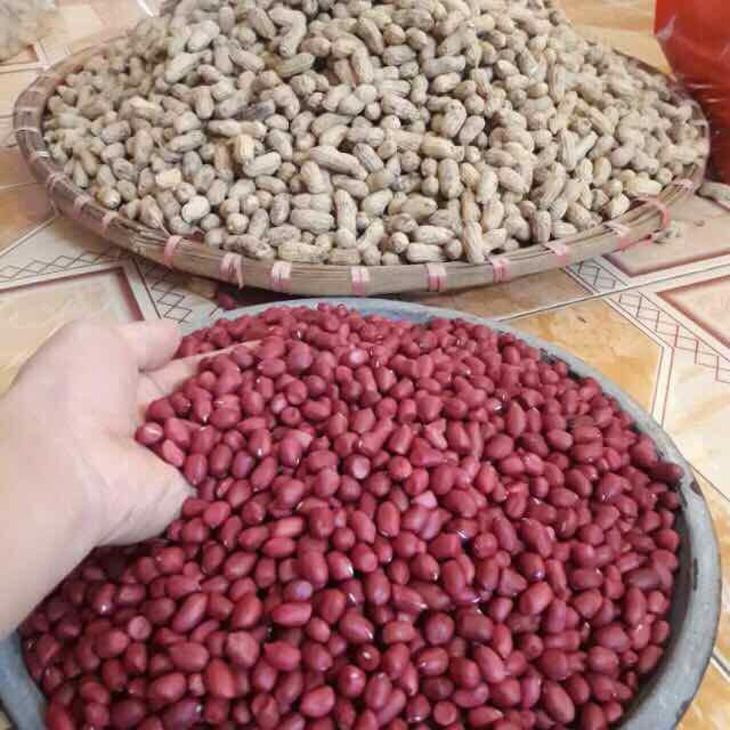 ĐẬU PHỘNG ĐỎ (LẠC ĐỎ) NHÂN (miền bắc) 500g