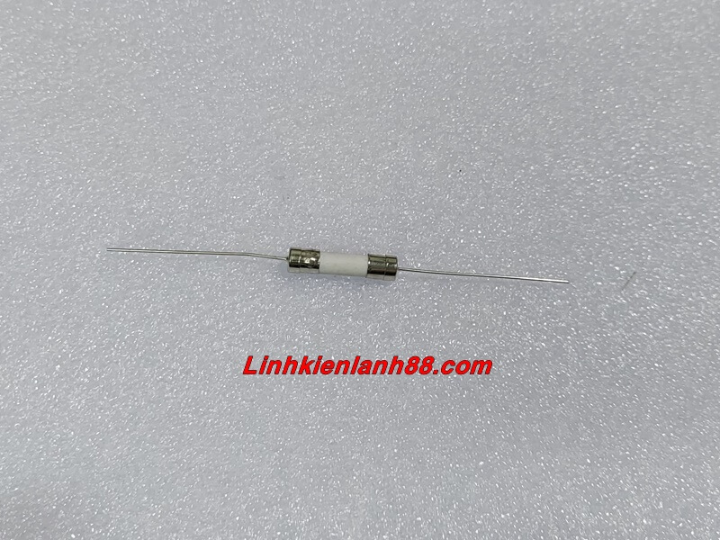 Cầu chì sứ chân cắm 15a 5*20mm mới