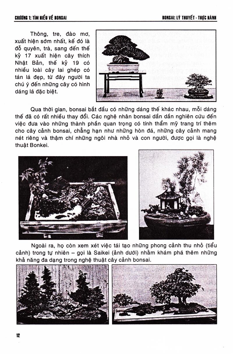 [HCM]Bonsai - Lý Thuyết - Thực Hành