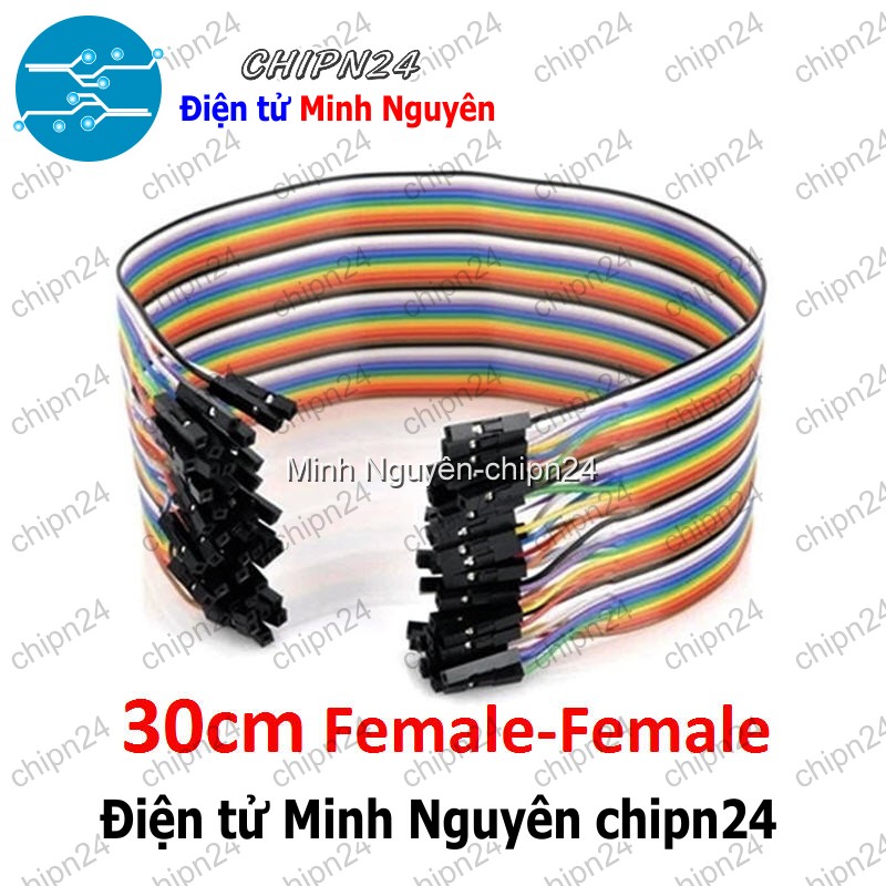 [20 sợi] (P73) Dây Cắm Test Board 30cm Cái-Cái - HH000205