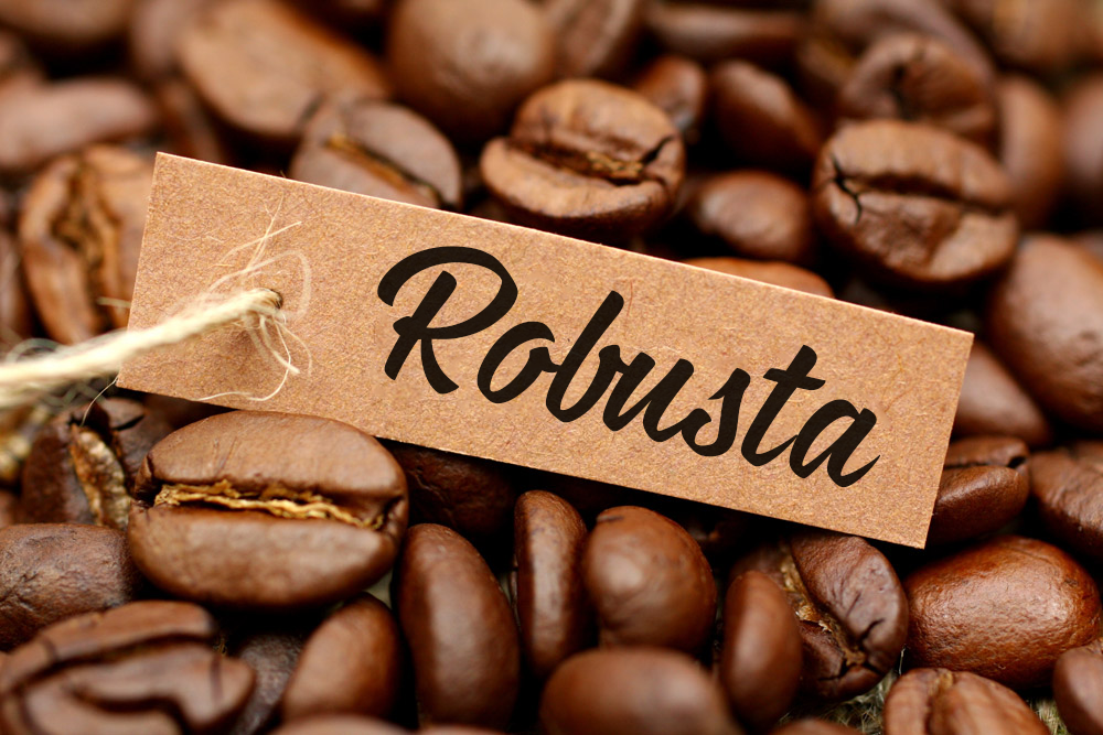Cà phê Hạt Rang Robusta 500gr - SteppaCafe