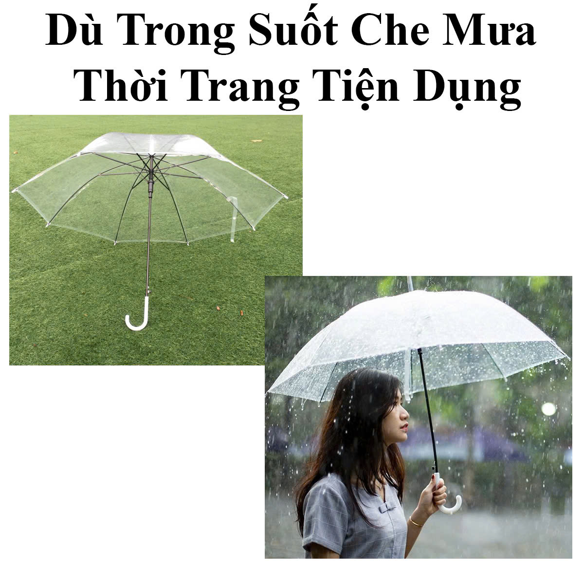Dù Trong Suốt Che Mưa Thời Trang Tiện Dụng