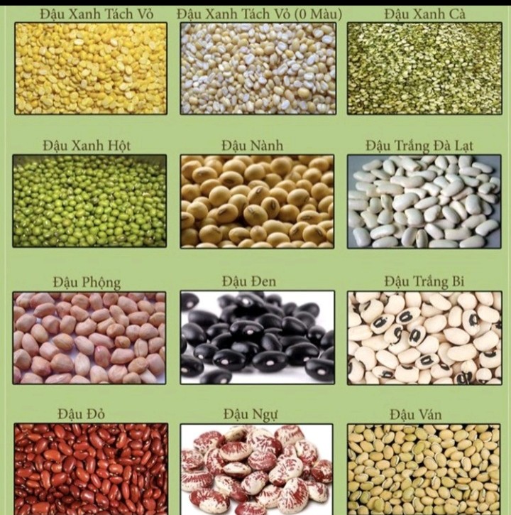 500gr Đậu Trắng Tây