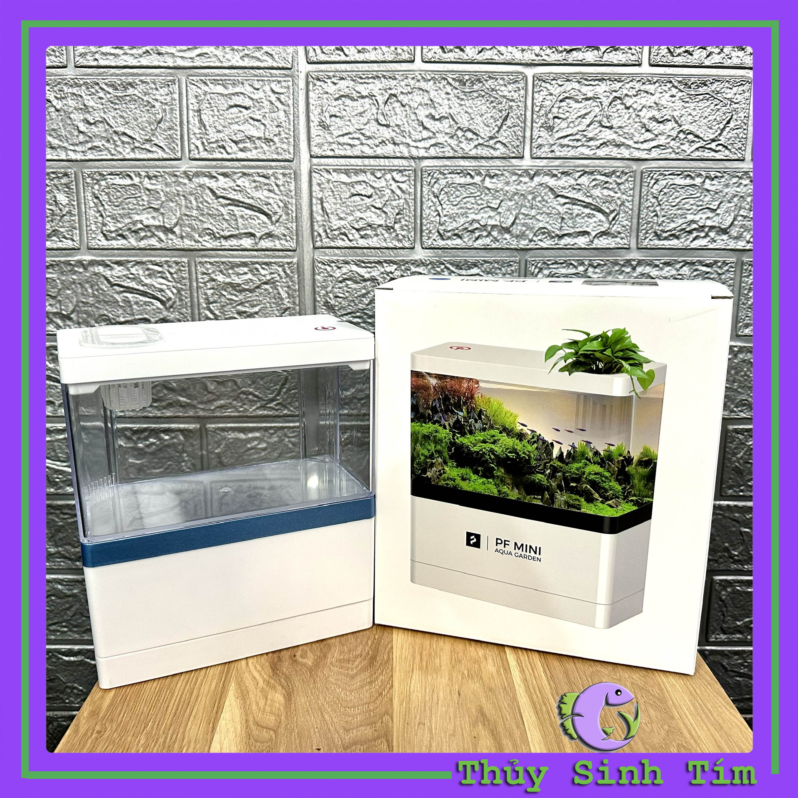 Bể cá mini fish tank để bàn làm việc, bàn học