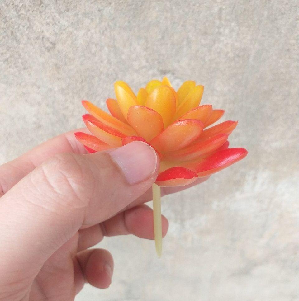 Cây hoa nhựa: Sen đá Ruby đỏ nhựa