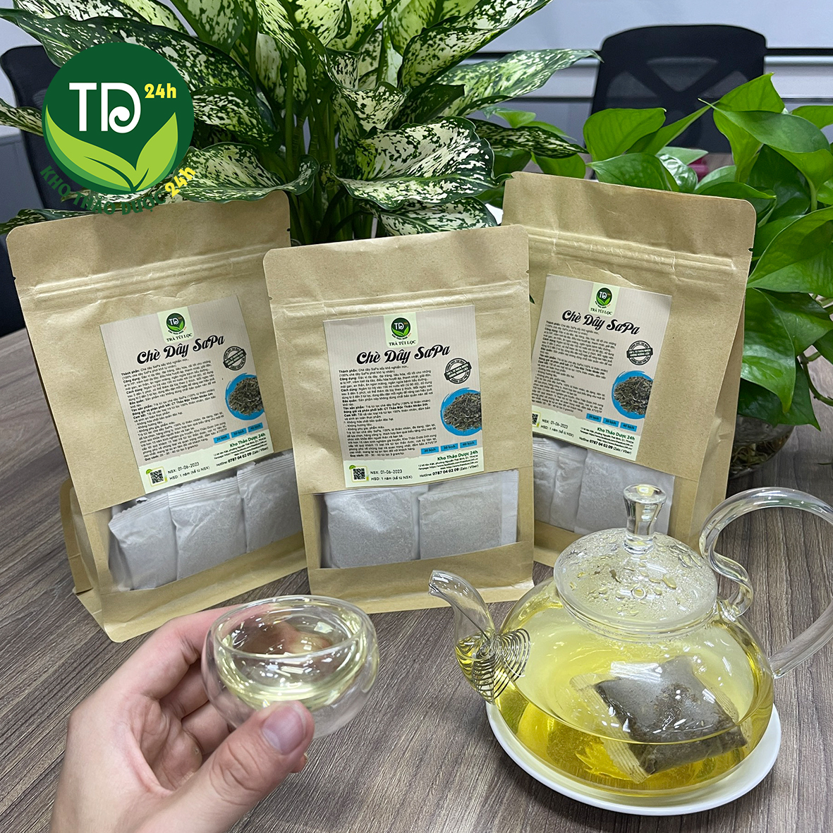 Chè dây (trà dây) Sapa nguyên chất, khắc tinh của chứng đau dạ dày, đau bao tử, diệt virus HP [1kg] I Kho Thảo dược 24h