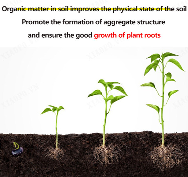 【1/2PCS】Green plant nutrient soil [organic natural coconut brick]