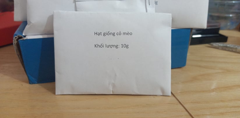 Hạt giống cỏ mèo gói bé ( Trồng thử )