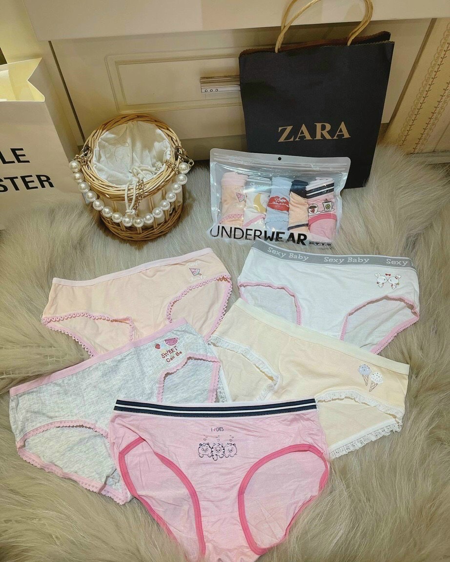 Combo 5 quần lót cotton kháng khuẩn in hình