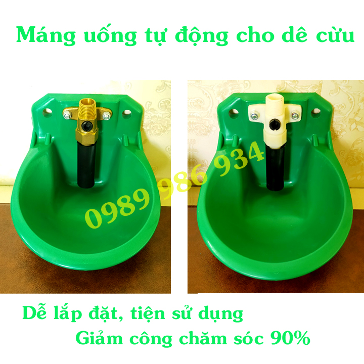 Máng uống tự động cho Dê cừu