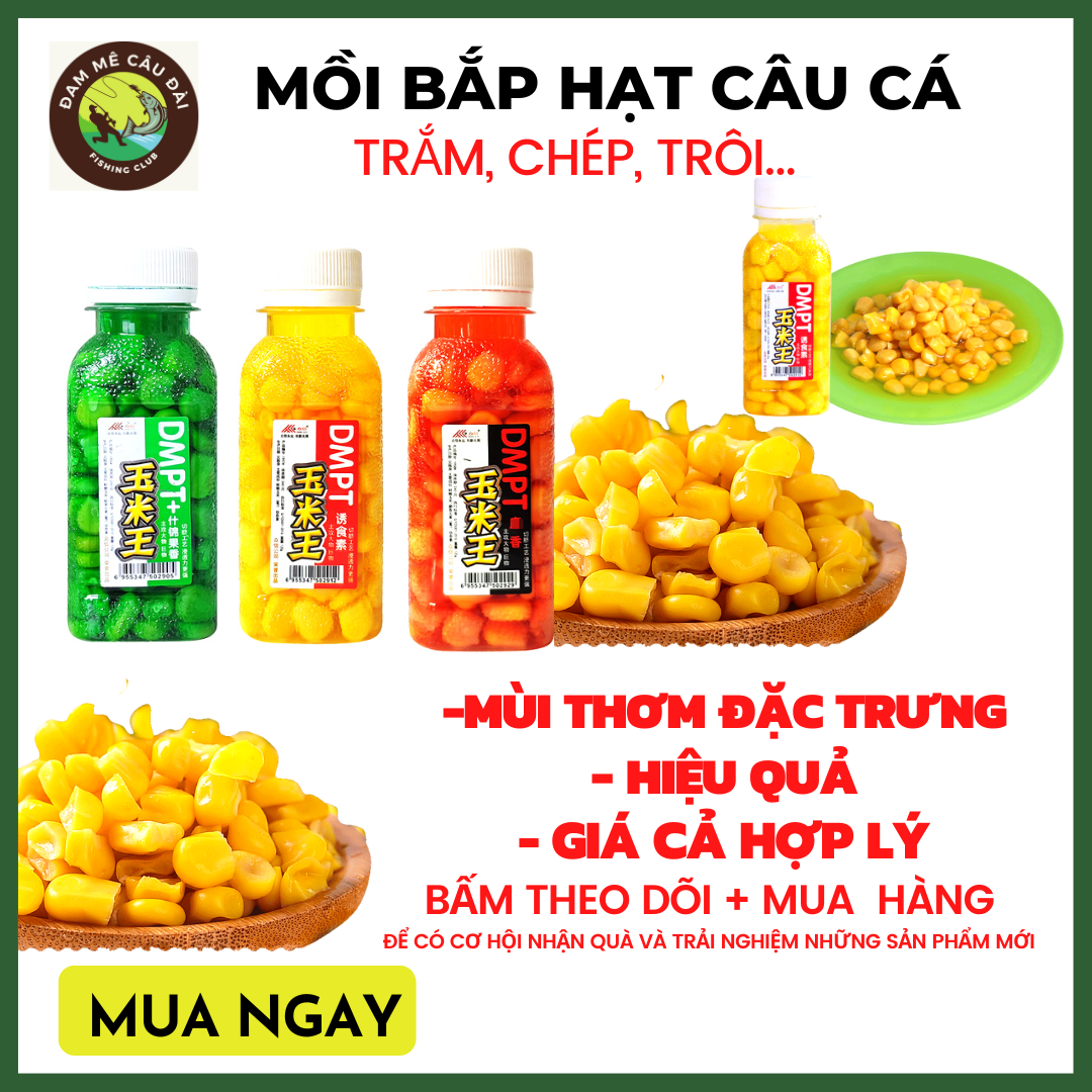Mồi câu bắp vương câu cá chép, cá trắm, cá trôi, cá rô phi ...
