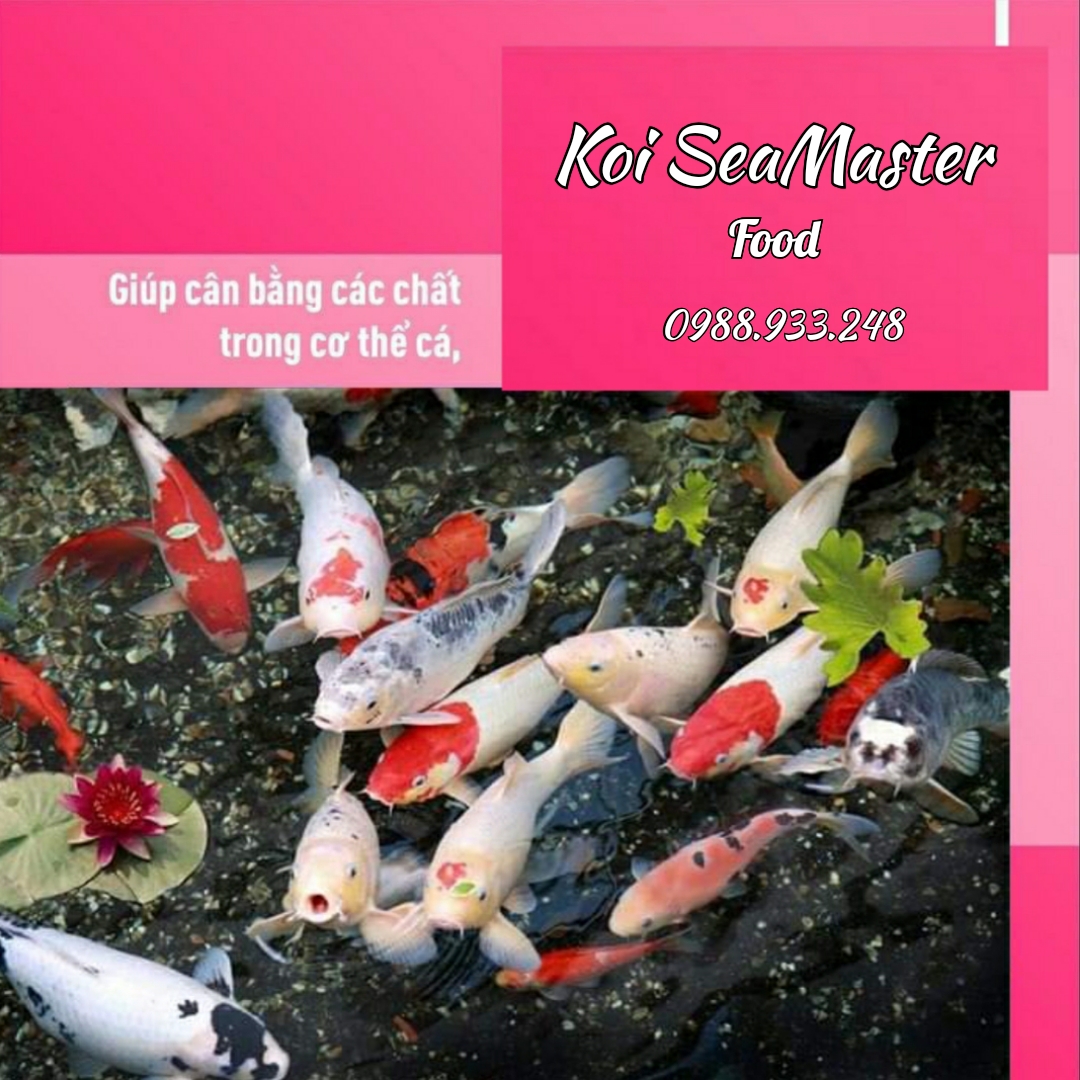 Cám cá Koi, cá Vàng SeaMaster || Túi 1Kg