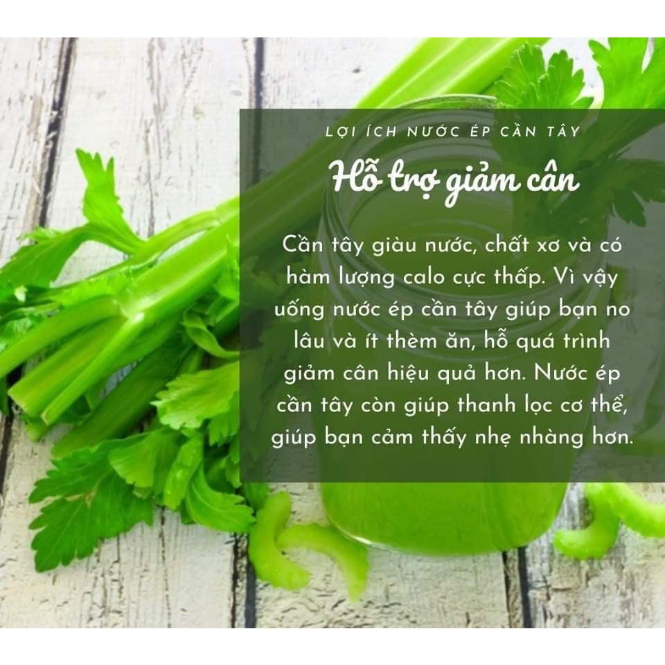 5GR HẠT GIỐNG CẦN TÂY BẸ TO ÉP NƯỚC