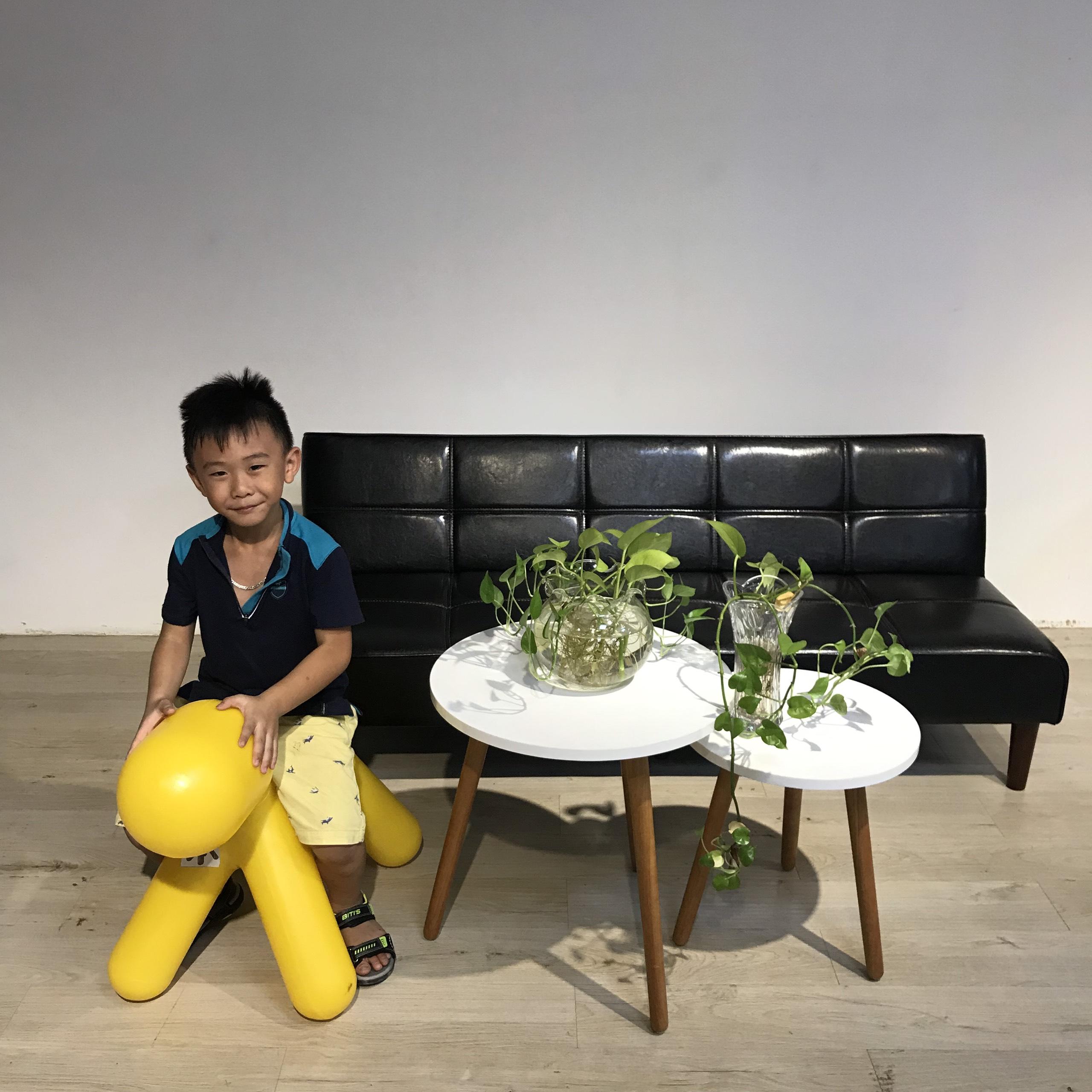 Sofa giường BN-Home 2021D (Nâu)