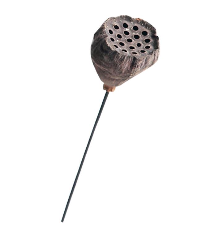 Đài hoa sen khô tự nhiên trang trí decor