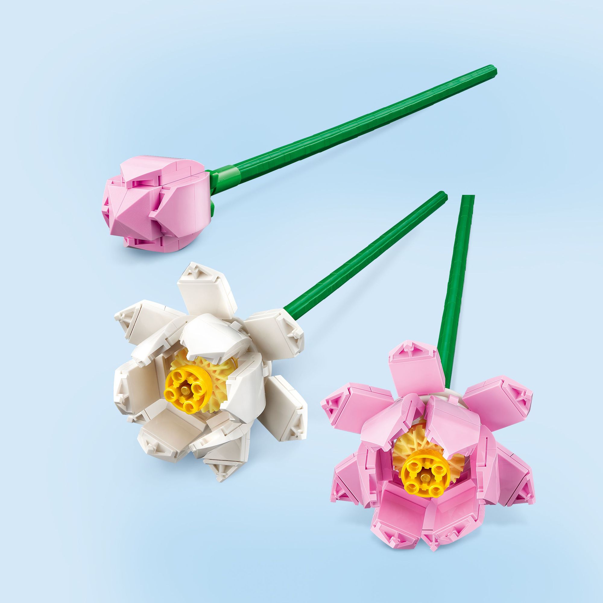 LEGO FLOWER 40647 Đồ chơi lắp ráp Hoa sen LEGO® (220 Chi Tiết)
