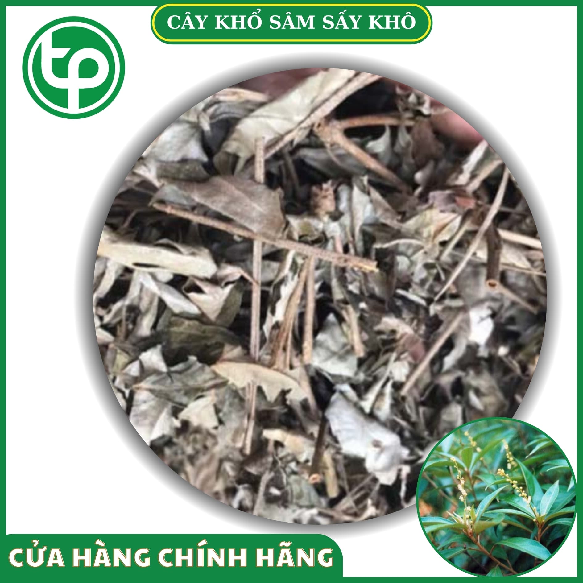 Dried Ginseng Leaves 200g - Delicious, Fragrant, Clean Tea of High Quality - Tan Phat Herbal Medicine