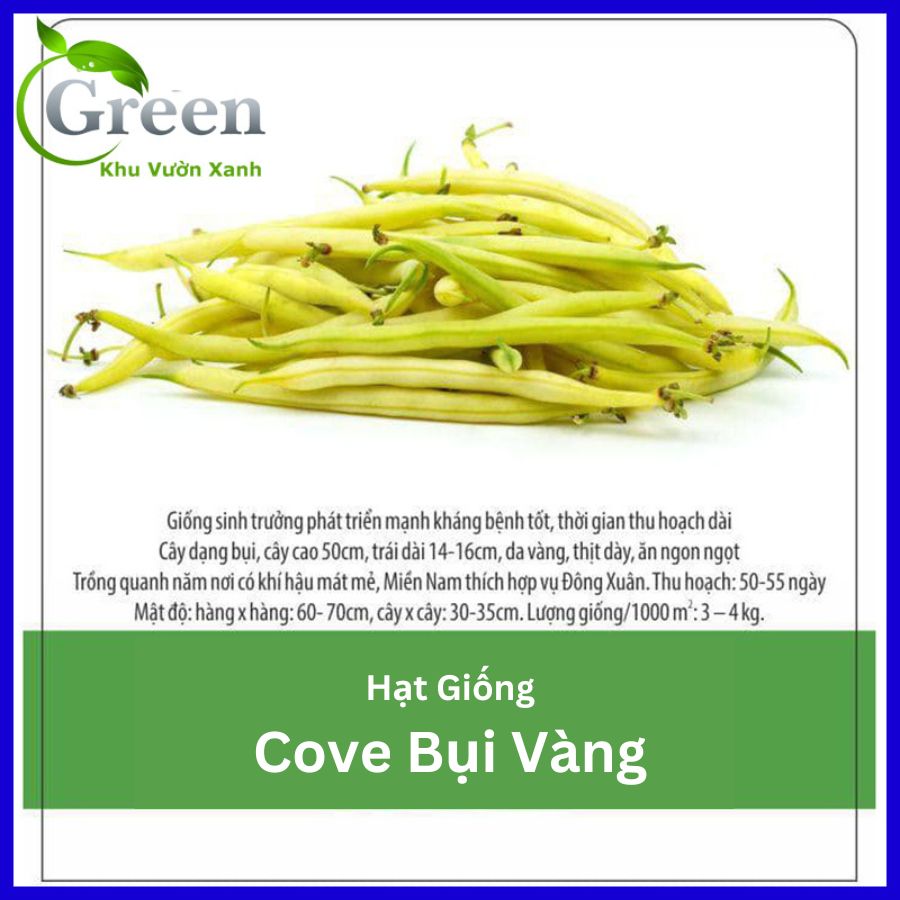 Hạt Giống Đậu Cove Bụi Vàng