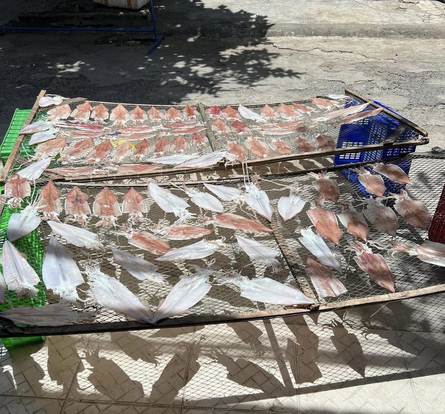 1kg Mực Khô Khánh Hòa loại 25 con
