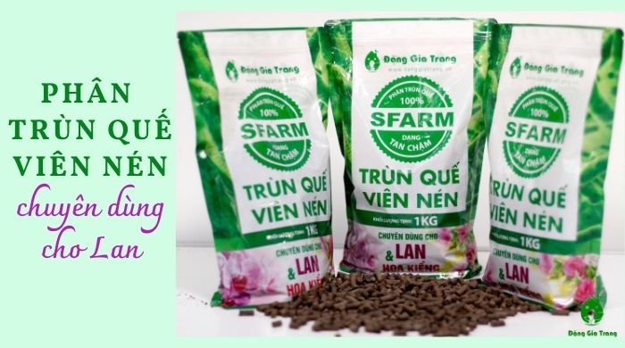 Phân trùn quế dạng viên nén cho lan Sfarm Bịch 1kg. Không mùi, Kích bật kie, bung rễ, mập thân