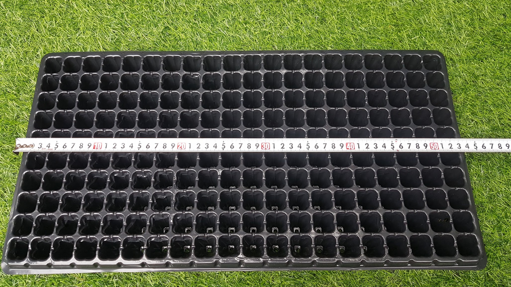Khay mỏng ươm hạt 200 lỗ