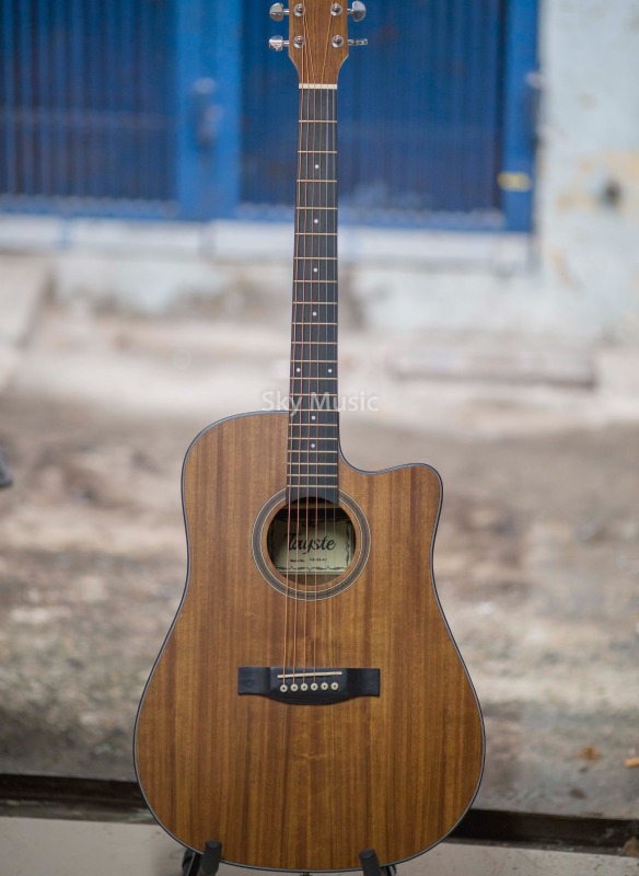 Đàn Guitar Acoustic Tayste TS-25-41 Full Gỗ Walnut, magohany ( Hàng Có Sẵn )
