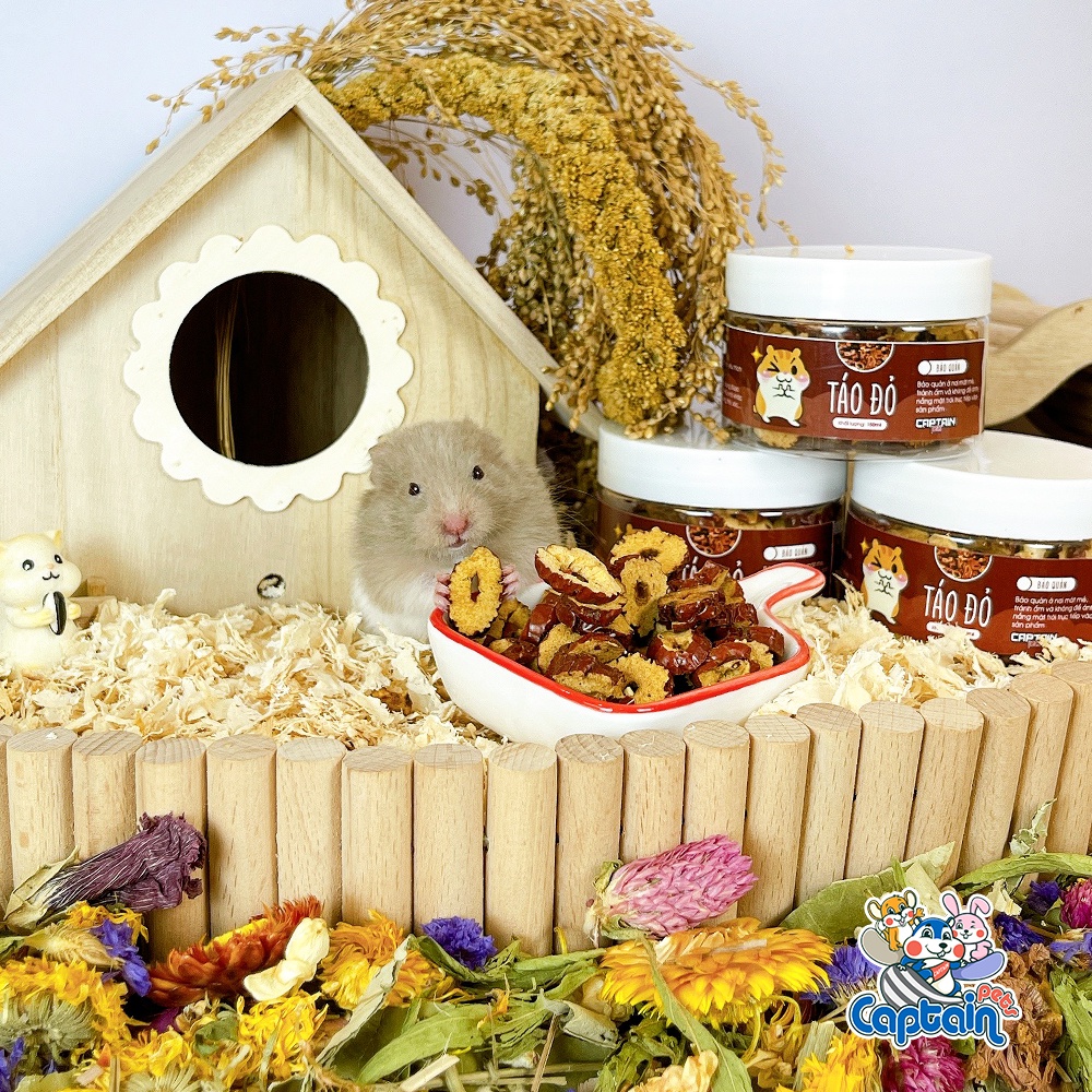 [FREESHIP MAX] Táo đỏ cho thú gặm nhấm - Bách hóa Hamster