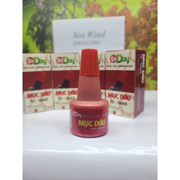 Mực Dấu Today - Mực Đổ Dấu 30 Ml / Lọ