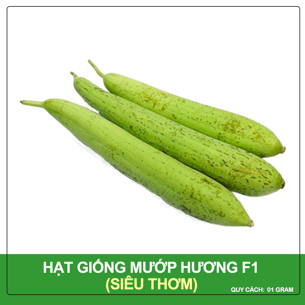 Hạt Giống Mướp Hương F1 Phú Nông Gói 1 Gram