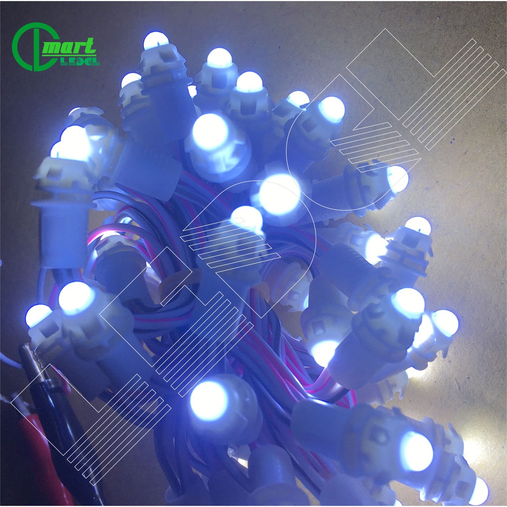 Dây led đúc f5 điện 12v đủ các màu