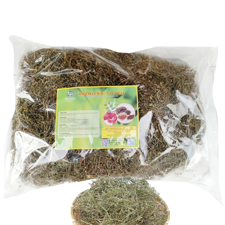 Diệp hạ châu khô 500g, Trà diệp hạ châu khô - Tấn Phát