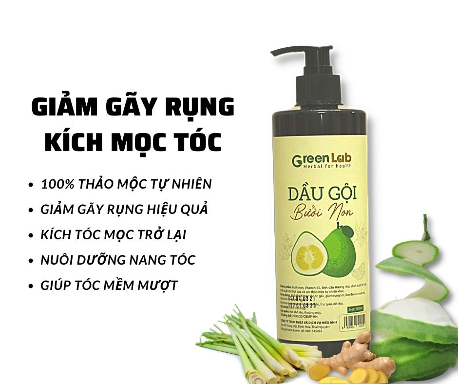 Dầu gội thảo mộc Bưởi Non Greenlab
