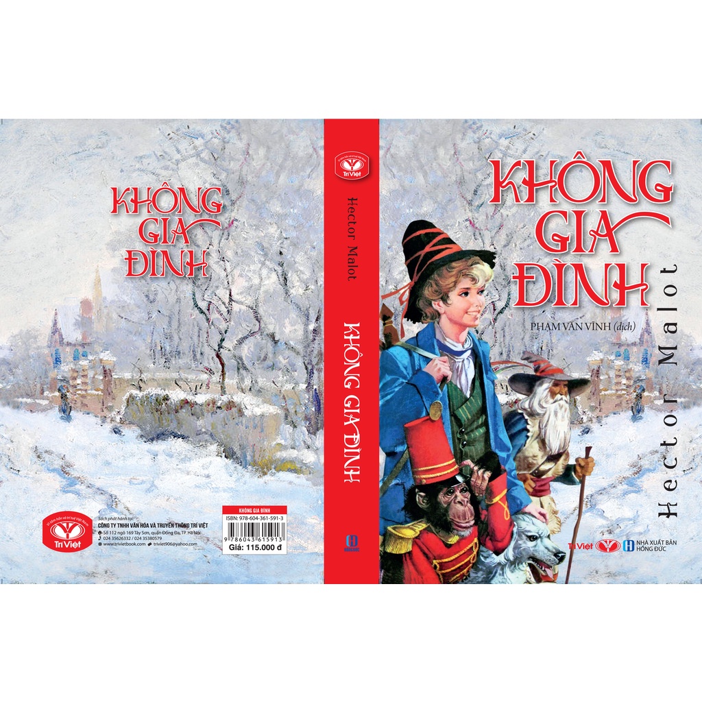 Sách - Không Gia Đình (Bìa mềm) - Trí Việt