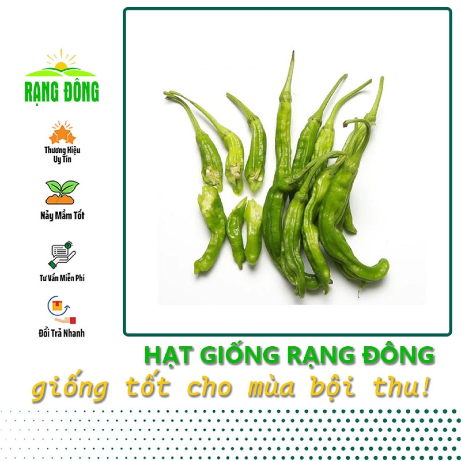 Hạt Giống Ớt ngọt trái dài dễ chăm sóc, trồng quanh năm - Hạt giống Rạng Đông