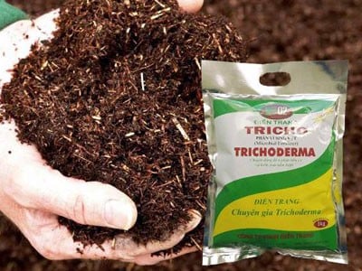 Phân bón vi sinh Trichoderma Điền Trang Gói 1 Kg