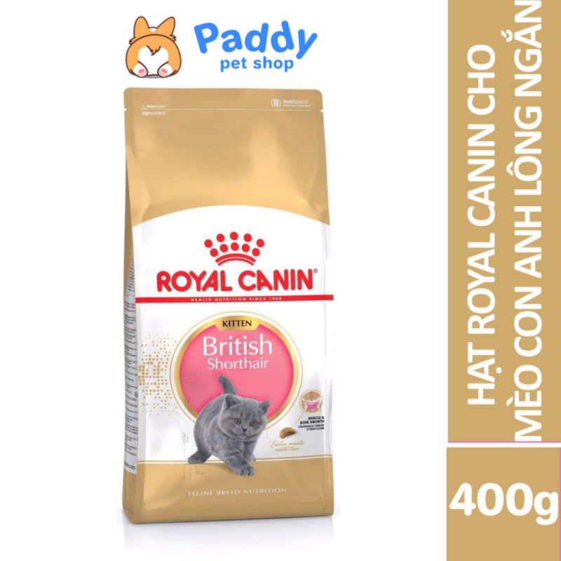 [400g] Hạt Royal Canin Kitten British Shorthair Cho Mèo Con Anh Lông Ngắn